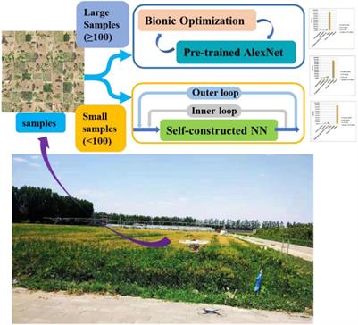 Weed Density Extraction Based on Few-Shot Learning Through UAV Remote Sensing RGB and Multispectral Images in Ecological Irrigation Area